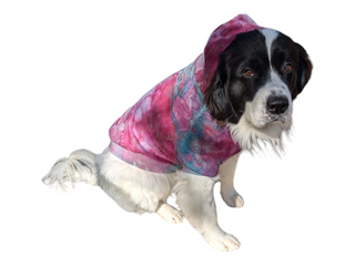 Tie-dye Dog Hoodie