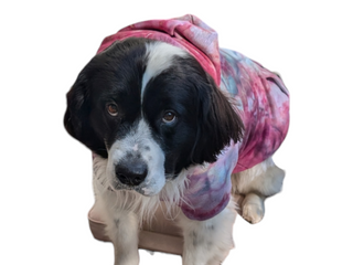 Tie-dye Dog Hoodie