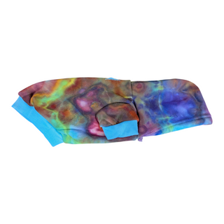 Rainbow Tie-dye Small Dog Hoodie