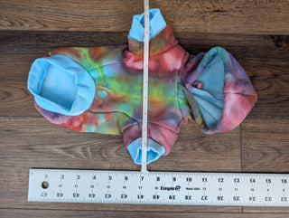 Rainbow Tie-dye Small Dog Hoodie