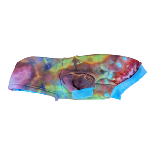 Rainbow Tie-dye Small Dog Hoodie
