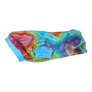 Rainbow Tie-dye XS Dog Hoodie
